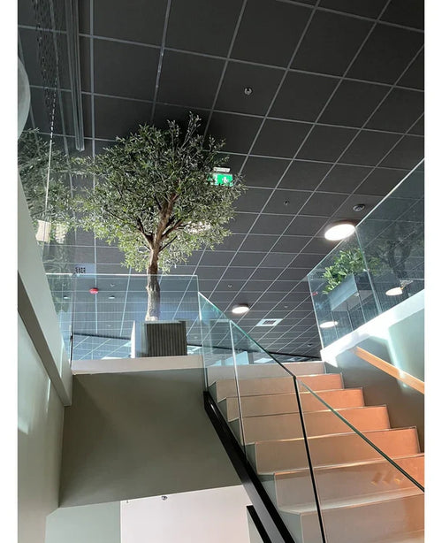 Eine moderne Innentreppe mit Glasgeländer führt zu einem Treppenabsatz mit einem künstlichen Olivenbaum mit Oliven (270 cm) in einem großen Topf, der unter einer Decke mit Gittermuster, eingelassener Beleuchtung und einem sichtbaren grünen Notausgangsschild platziert ist.