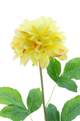 Kunstbloem Dahlia Real Touch Champagne 73 cm