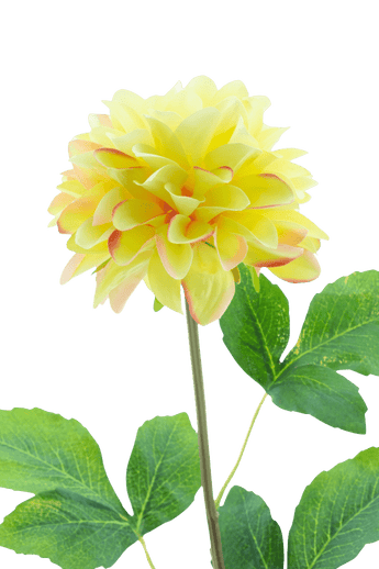 Kunstbloem Dahlia Real Touch Champagne 73 cm