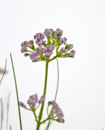 Een close-up van de Kunstgras Prei Bloem Ui Graspot 60cm, met zijn levensechte trossen lichtpaarse bloemen en lange groene steel, tegen een effen witte achtergrond.