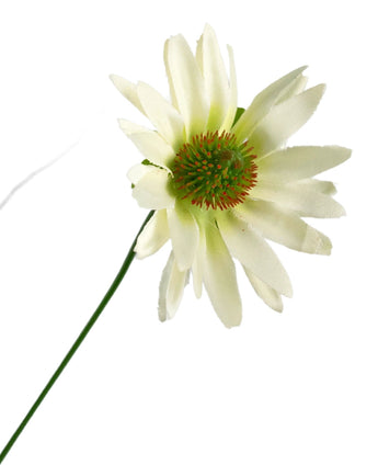 Een enkele Kunstgras chrysant uienpot, 60 cm hoog, met brandvertragende kenmerken; een kunstmatige witte margrietbloem op een lange groene steel, geïsoleerd op een witte achtergrond.