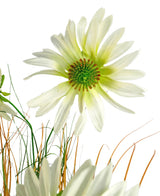 Eine Nahaufnahme des feuerhemmenden Kunstrasen-Chrysanthemen-Zwiebeltopfs (90 cm) mit einer weißen gänseblümchenähnlichen Blume mit einem grünen Herzen inmitten dünner grüner und brauner grasähnlicher Stängel, alles vor einem weißen Hintergrund.