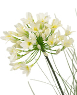Eine Nahaufnahme des 90 cm großen feuerhemmenden Kunstrasen-Topfes mit weißem Agapanthus-Zwiebelgras zeigt zarte weiße Blüten mit gelber Mitte auf langen grünen Stielen, umgeben von zarten Blättern, vor einem schlichten weißen Hintergrund.
