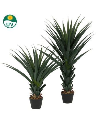 De Kunstplant Agava Pandora UV 85 cm heeft twee kunstmatige agave planten met donkergroene, stekelige bladeren in een zwarte pot. In de linkerbovenhoek staat een UV-beschermingspictogram op een witte achtergrond.