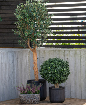 Een hoge Kunstplant Buxus op stam romeinse stijl UV 65cm staat met twee andere potplanten - een ronde struik in een zwarte pot en paarse heide in een kleine stenen pot - op een patio bij een betonnen muur en een schutting van houten latten.
