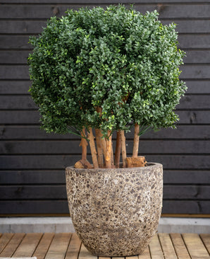 De Kunst Buxusbal Hout Romeinse stijl UV 90 cm, een ronde bladgroene plant met dikke stengels, staat in een grote stenen pot op hout, tegen een donkere horizontale wand met houten panelen.