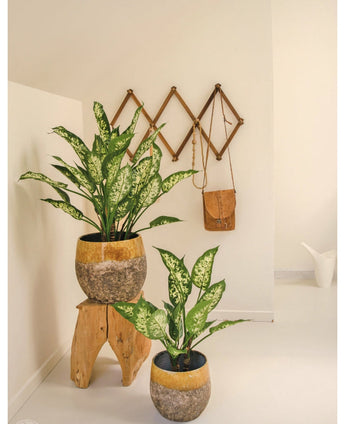 Twee Kunstplant Dieffenbachia UV 75 cm met bonte bladeren zitten in gele en stenen sierpotten - een op een houten krukje, een op de vloer. Achter hen hangt een bruine leren tas aan een houten accordeon wandrek in deze lichte, minimalistische ruimte.