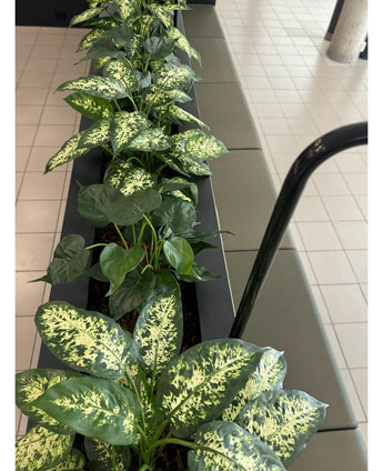 Een Kunstplant Dieffenbachia UV 75 cm met bonte groene bladeren staat in stijlvolle sierpotten naast een tegelvloer en zitbank in een lichte binnenruimte.