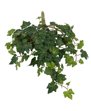 De Kunst Klimop Deluxe Groen 40cm heeft weelderige groene bladeren en slingerende wijnranken tegen een witte achtergrond.