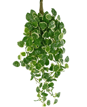 Künstliche Wandpflanze Pumila 50 cm
