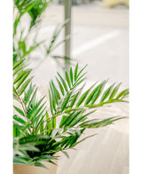 Eine Nahaufnahme leuchtend grüner Blätter der künstlichen Palme Parlour UV 60 cm in einem sonnendurchfluteten Innenraum mit hellem Holzboden und verschwommenem Hintergrund, die die Schönheit dieser realistischen künstlichen Pflanze hervorhebt.