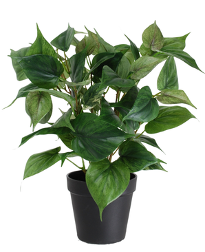 De Kunstplant Philodendron in pot 40 cm heeft hartvormige groene bladeren in een eenvoudige zwarte pot, tegen een effen witte achtergrond.