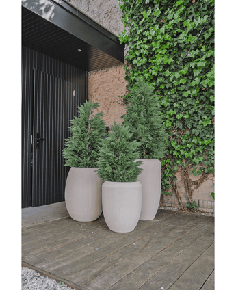 Drie grote beige plantenbakken met Kunstplant Conifeer deluxe UV 120 cm struiken staan op een houten dek bij een zwarte deur en een met klimop begroeide muur en bieden UV-bescherming voor blijvende schoonheid in je kunstplant tuin.