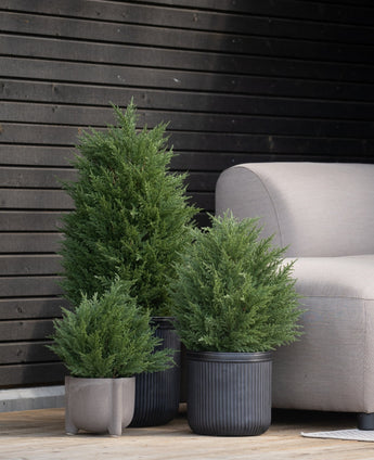 Drie Kunstplant Conifeer deluxe UV 60 cm kunstheesters staan op een houten vlonder in de buurt van een lichtgrijze buitenbank en een donkere houten muur - perfect om een groene tuin te creëren met onderhoudsarme kunstplanten buiten.