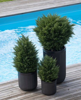 Drie Kunstplant Conifeer deluxe UV 90 cm heesters in zwart getextureerde plantenbakken staan op een houten terras naast een helderblauw zwembad en creëren een onderhoudsvrij plantenaccent.