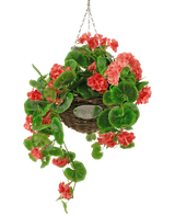 Künstliche Begonie rosa im Korb UV 70cm