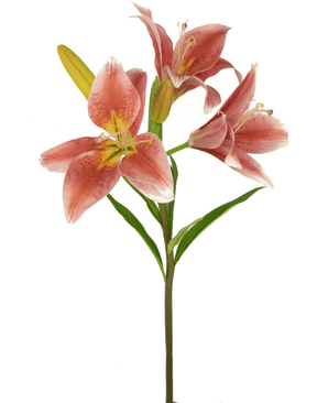 Künstliche Blume Asiatische Lilie 66 cm alt rosa