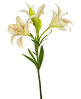 Künstliche Blume Asiatische Lilie 66 cm rosa