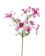 Künstliche Blume Cosmos 74 cm rosa