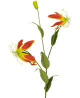Künstliche Blume Gloriosa 81 cm rot/gelb