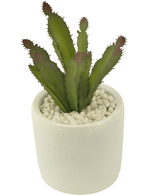 Künstliche Sukkulente 20 cm