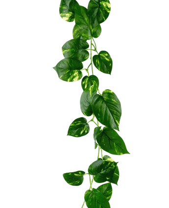 Künstliche goldene Rankengirlande 180 cm