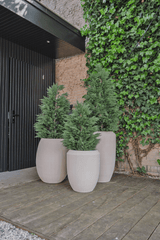 Kunstpflanze Konifere deluxe 150 cm UV