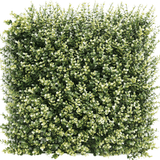 Kunstpflanzen Wand Buxus beige 50x50 cm UV