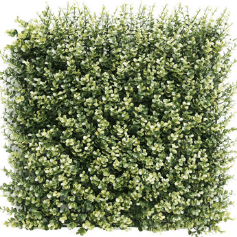 Kunstpflanzen Wand Buxus beige 50x50 cm UV