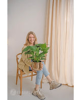 Een vrouw zit op een houten stoel en lacht terwijl ze de Kunstplant Alocasia UV 51 cm vasthoudt. Ze draagt een beige blazer, jeans en sneakers. Lichte gordijnen en een neutrale muur creëren een heldere, luchtige achtergrond.