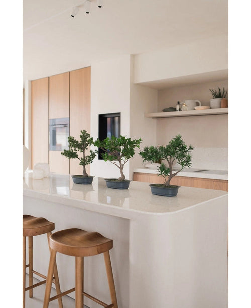 Eine künstliche Pflanze Bonsai Ficus 40 cm steht auf einer weißen Kücheninsel mit zwei Holzhockern, umgeben von hellen Holzschränken, weißen Arbeitsplatten und Regalen mit minimalistischem Dekor.