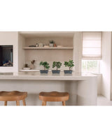 Een moderne keuken met twee houten krukjes op een wit eiland, drie Kunstplant Bonsai Juniper potplanten van 20 cm op het aanrecht, open planken met decor en een raam dat natuurlijk licht binnenlaat.