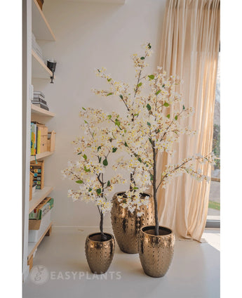 Een Kunstplant Bougainvillea 120 cm groot met witte bloesems in een goudkleurige pot met textuur staat bij een raam met transparante gordijnen, naast boekenplanken vol boeken en decor in een lichte, moderne kamer.
