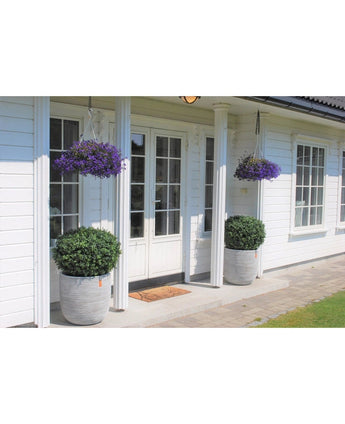 Een wit huis met dubbele glazen deuren, twee Kunstplant Buxus op stam romeinse stijl UV 85cm aan weerszijden van de ingang en twee hanging baskets met paarse bloemen boven elke struik. Voor de deuren ligt een deurmat.