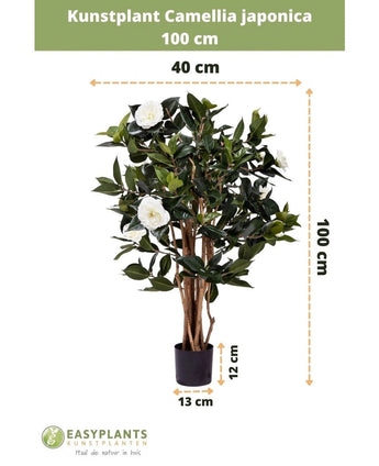 Kunstplant Camellia japonica 100 cm hoog en 40 cm breed, geleverd in een zwarte pot van 13x12 cm. De Japanse roos heeft groene bladeren en witte kunstbloemen, afgebeeld met maatlijnen.