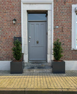Een grijze deur met brievenbus en klopper is in een bakstenen muur gezet. Twee Kunstplant Conifeer UV 120cm kunstbomen staan aan weerszijden van de ingang en huisnummer 30 is naast de deur gemonteerd.