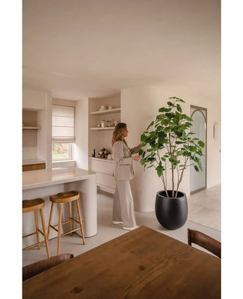 Eine Frau in neutraler Kleidung steht in einer modernen, minimalistischen Küche und berührt die Blätter der 210 cm großen künstlichen Ficus-Pflanze. Sonnenlicht betont die klaren Linien und Erdtöne des Raumes.