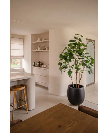 Ein moderner, minimalistischer Küchen- und Essbereich in neutralen Tönen verfügt über offene Regale, eine geschwungene Insel mit Holzhocker, ein Ess-Set aus Holz und die Kunstpflanze Ficus 210 cm als stilvolle Topfpflanze. Natürliches Licht erhellt den Raum.