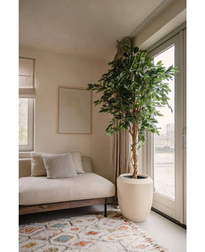 Een moderne woonkamer met een beige bank, een kussen met strepen, abstracte muurkunst, een vloerkleed met patronen, een raam van vloer tot plafond met transparante gordijnen die natuurlijk licht binnenlaten en een Kunstplant Ficus Groen 210 cm.