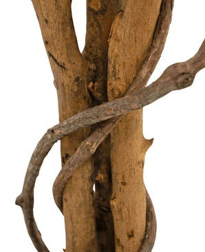 Een close-up van de Kunstplant Ficus Groen/wit 90 cm toont de bruine takken met een liaan die eromheen kronkelt, tegen een witte achtergrond.