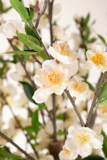Een close-up van de Kunstplant Kersenbloesem 180 cm crème toont delicate bleke perzik en witte kersenbloesem bloemen met een geel hart op slanke bruine takken, omringd door groene bladeren.