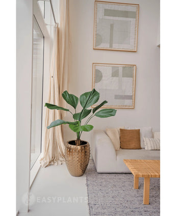 Een Kunstplant Lucuala Grandis 120 cm in een moderne pot staat naast een witte bank met beige kussens in een lichte, minimalistische woonkamer. Abstracte kunst hangt erboven en zonlicht stroomt door de hoge ramen.