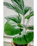 Een close-up van de Kunstplant Lucuala Grandis 120 cm, met grote, waaiervormige groene bladeren in stijlvolle potten, geplaatst op een licht oppervlak bij een raam.