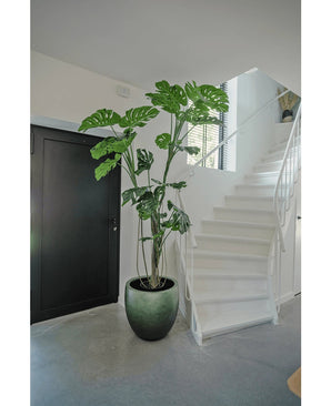 Möchten Sie einen künstlichen Baum kaufen? Beste Qualität bei Easyplants! – Easyplants Deutschland