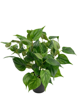 De Kunstplant Philodendron in pot 40 cm heeft weelderige, hartvormige bladeren met licht- en donkergroene patronen, in een eenvoudige zwarte pot en tegen een witte achtergrond.