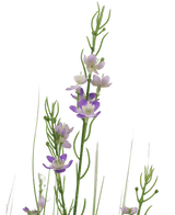 Kunstrasen Hirse Zwiebel Gras Topf 90cm feuerhemmend