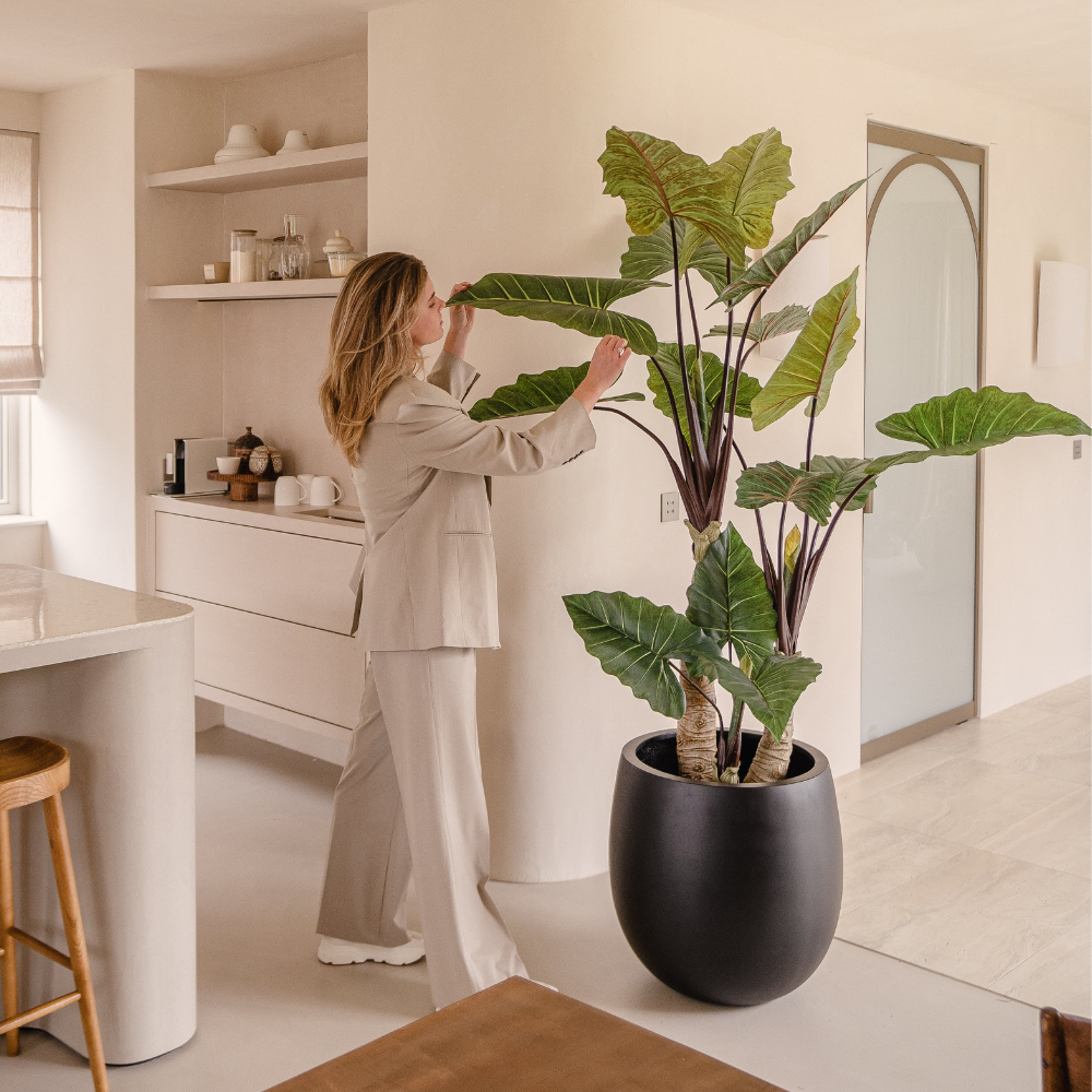 Künstliche Pflanze Eukalyptus weiß im Topf 22 cm UV – Easyplants Deutschland