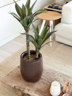 Een Kunstplant Agave van 76 cm, met twee lange stengels en groene, puntige bladeren, staat op een houten salontafel in een gezellige woonkamer met een crèmekleurige bank, een rond bijzettafeltje en een neutrale inrichting.