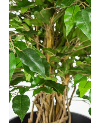 Close-up van de gevlochten stam en groene bladeren van de Kunstplant Ficus Liana 90 cm kantoorplant tegen een lichte achtergrond.