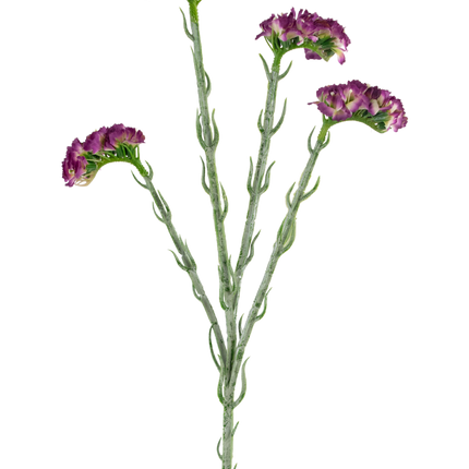 Künstlicher Statice-Zweig 64 cm dunkel lila